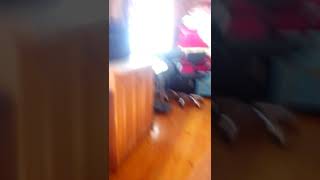18 Ağustos 2019