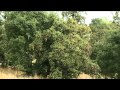 IVN wandeling door de oude natuur IVN wandeling door de oude natuur