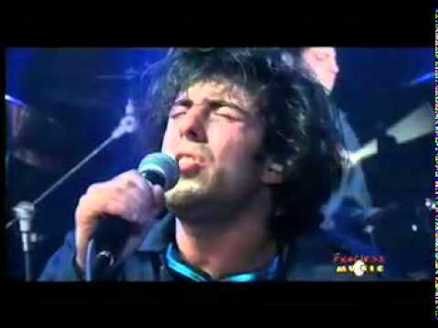 Heaven on a Bird Video
