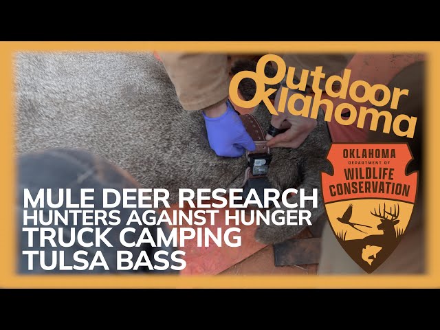 Watch Outdoor Oklahoma 5012 (Mule Deer Research, Hunters Against Hunger, Todd's Truck, Tulsa Bass) on YouTube.