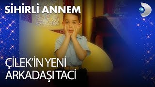 Çilekin Yeni Arkadaşı Taci - Sihirli Annem 64. Bölüm