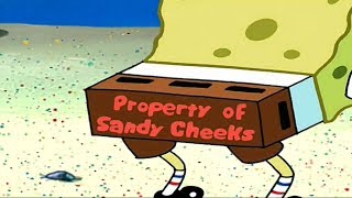 Spongebob Squarepants - Property Of Sandy Cheeks