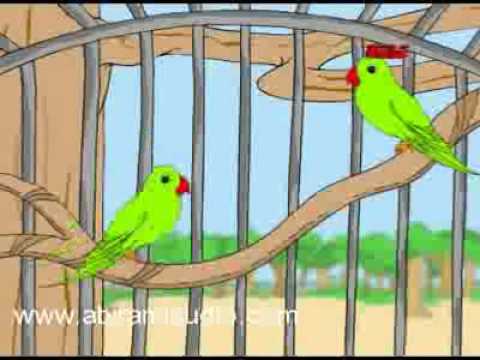 Koondukili - Chellame Chellam - Pre School - Animated Rhymes...
