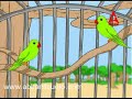 Koondukili Chellame Chellam Pre School Animated Rhymes For Kids images Koondukili Chellame Chellam Pre School Animated Rhymes For Kids