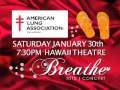 Willie K announces The Breathe Concert 2010