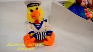 Музыкальная Игрушка Цыпленок Моряк Musical Toy Chicken Sailor