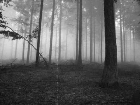 Nocturnal Depression - Host (Autumn)