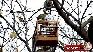 Видео Ловля зеленушки. Таджикистан г. Канибадам ( Зенушка ) от Bakha 90, Канибадам, Таджикистан