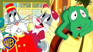 Looney Tunes Em Português 🇧🇷 | Ea Vingança Do Pernalonga | Wb Kids