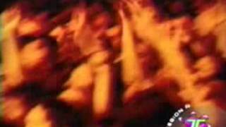 Watch Animal Vamos De Pie video