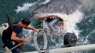 Köpek balığı | Aksiyon filmi 2024 Izle Türkçe Dublaj