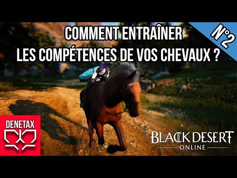 tutoriel entrainement chevaux black desert online