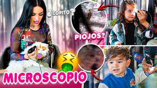 Así Nos Vemos Bajo El Microscopio Kimberly Loaiza