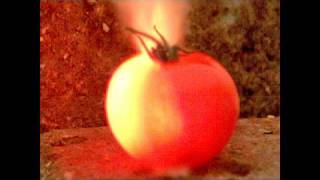 Tomato Bomb In Ultraslo