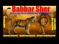 Babbar Sher | Joga Singh Jogi Kavishr Jatha | New Punjabi Song