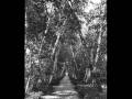 Legendary BLUEGRASS - Frank Wakefield - Sleepy Eyed John