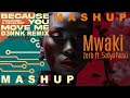 Mashup Zerb Mwaki + Because You Move Me Tinlicker & Helsloot Sofia Nzau by D3nnK