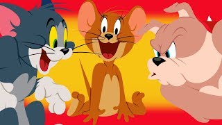 🔴WATCH LIVE | Best of Tom & Jerry | WB Kids 🔴WATCH LIVE | Best of Tom & Jerry | WB Kids