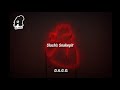 Slash's Snakepit- Serial killer_Sub español