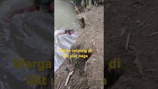 Detik Detik Kakek Dimakan Ular