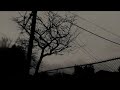 Sun Kil Moon - Black Kite (Official Music Video)