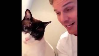 Funny Cat Videos #127