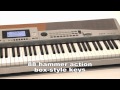 Axus Digital AXS2 Stage Piano