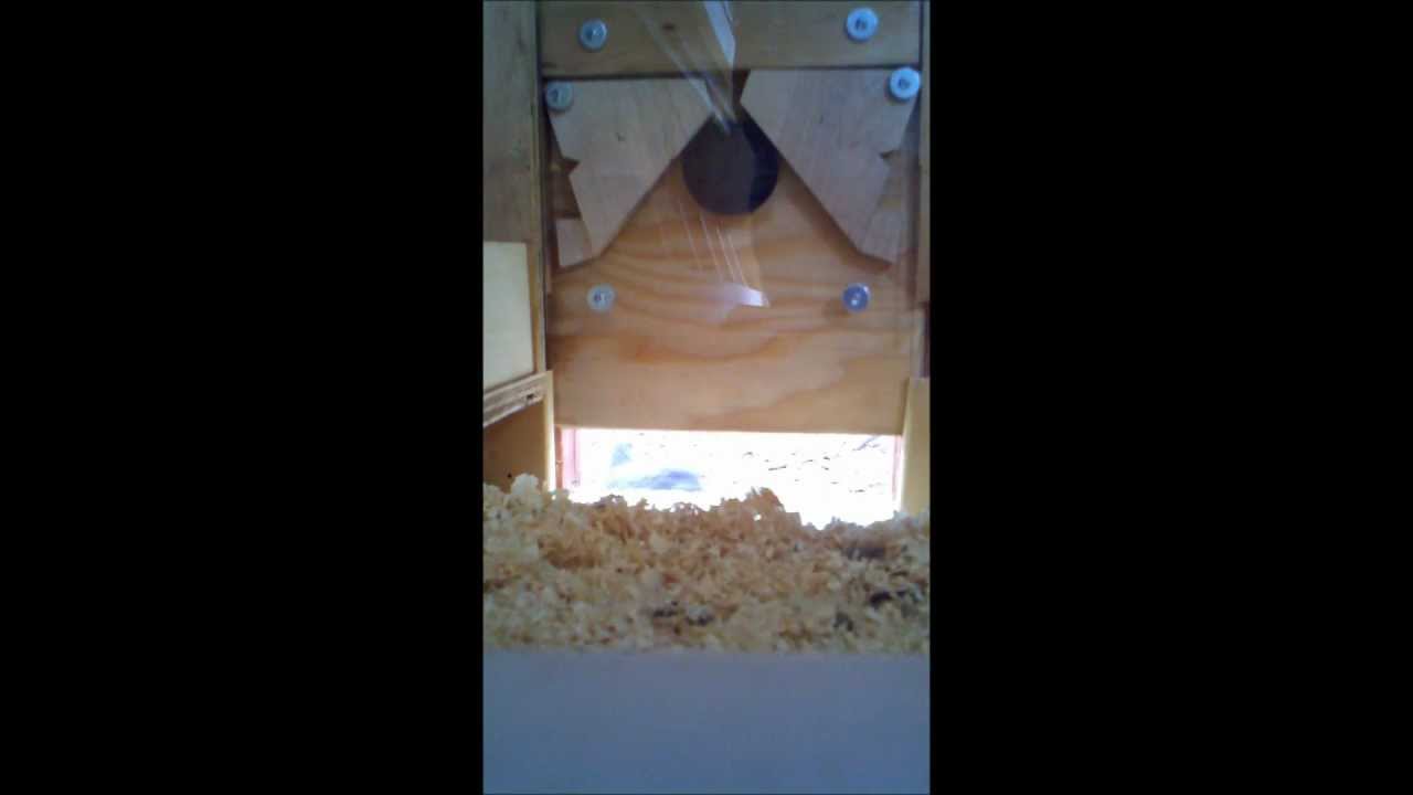 Raccoon Proof, Automatic, Chicken Coop Door - YouTube