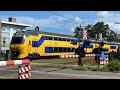 Treinen op station Heiloo