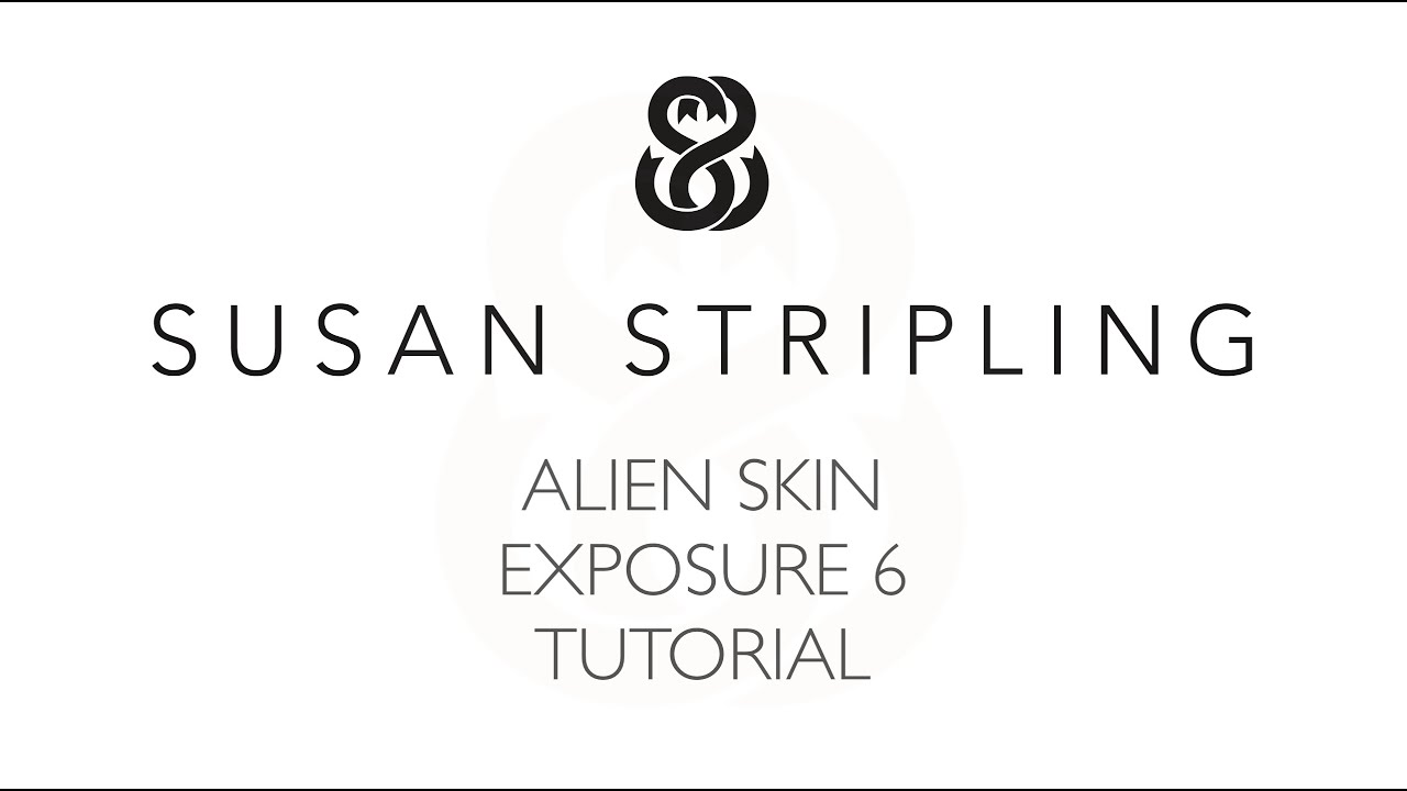 alien skin exposure x 1.1.0.2099 revision 32351
