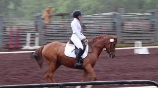 Miznah March 2019 Orchid Isle Eventing Show Dressage Training Level 3