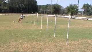 dKXl7SnIfmk Video Image