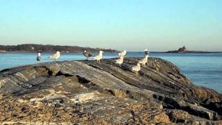 New Castle NH Great Island Common video