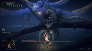 Elden Ring - Astel, Naturalborn Of The Void - Rl1