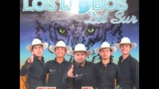 Watch Los Lobos Ya Se Va video