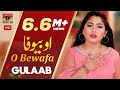 O Bewafa - Gulaab (Official Video) | Latest Punjabi & Saraiki Songs | TP Gold