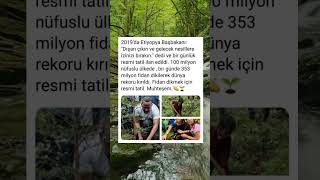 Tatil Değil, Ağaç Bayramı