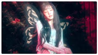 Gi-Dle-Lucid Speed Up