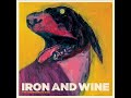 Iron & Wine - Resurrection Fern