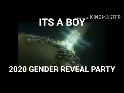 2020 gender reveal party meme 2020 gender reveal party meme