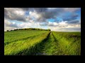 pastore 動画24a