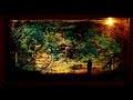 tickles-liar