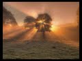 Camper Van Beethoven - Sweethearts