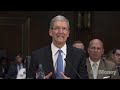 Apple CEO