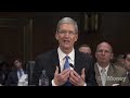 Apple CEO