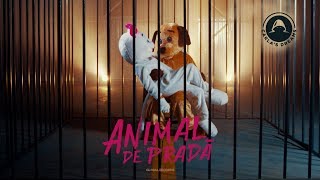 Carlas Dreams - Animal De Prada