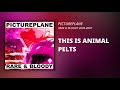 This Is Animal Pelts Video preview