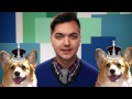 Your Country's Favorite Dog | Mashable Minute | With Elliott Morgan