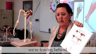 ANATOMY IN CLAY® Educator, Brandee Gillham
