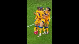 dMQlF1plONA Video Image